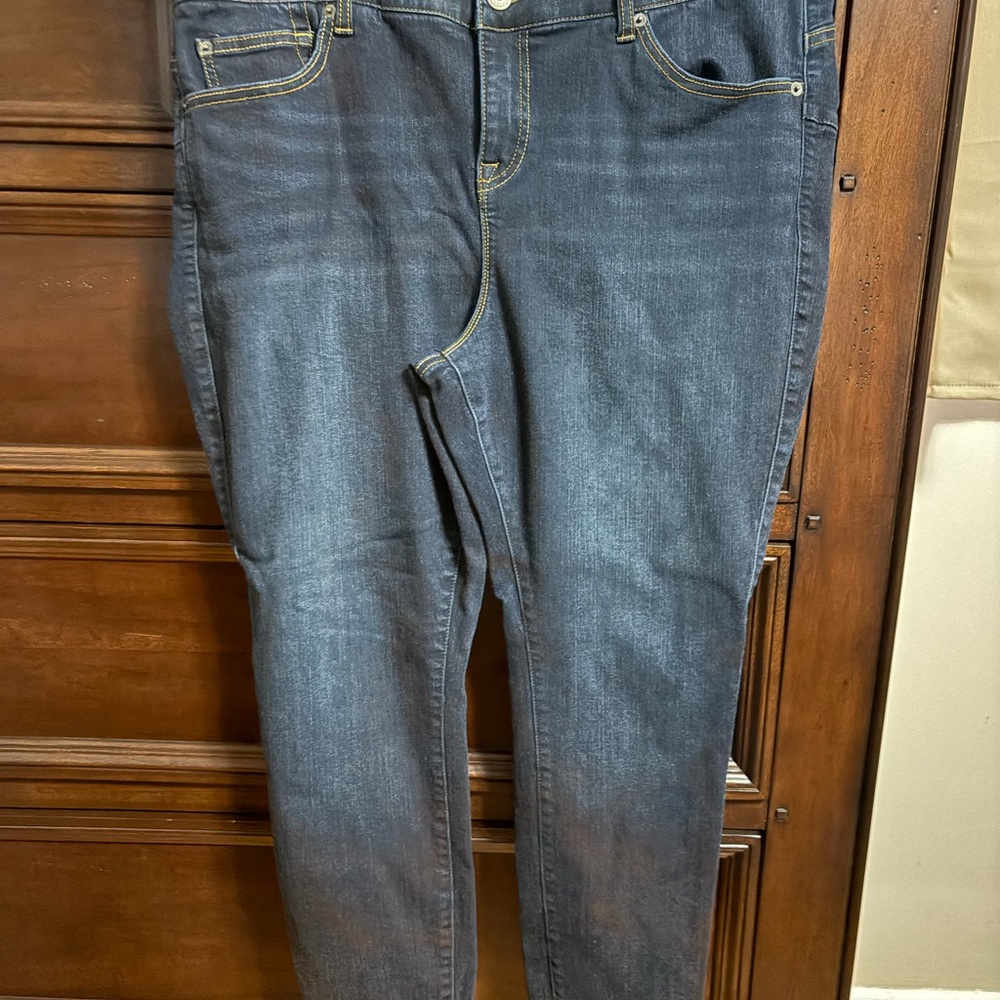 Torrid pants